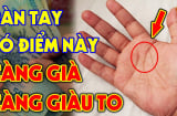 Xoè bàn tay mà xem: Ai có 1 dấu hiệu này số Con Cháu thần Tài