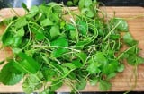 5 loại rau lọc thận khoẻ gan, chợ Việt bán nhiều