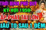 Số Trời định phải giàu, 3 tuổi vứt đâu cũng sống, sau 35 tiền tỷ đếm mỏi tay