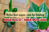 Người xưa nhắc rồi: ‘Trầu hai ngọn, cau lại buồng’ dâng cúng cầu gì cũng linh