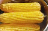 Luộc ngô thêm thứ này vào nồi, ngô ngọt - dẻo - thơm
