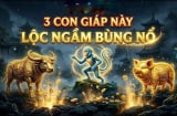 Top 3 con giáp mệnh Phượng Hoàng, sinh ra đã hưởng lộc hơn người