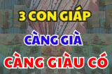 Top 3 con giáp Tụ Lộc Tứ Phương, nương Phật qua hết kiếp nạn