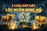 Top 3 con giáp hưởng Lộc phần Âm, Tổ Tiên độ mệnh chẳng lo thiếu Tiền