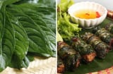 Loại lá cuốn chả thơm ngon gấp 3 lần lá lốt, bổ từ trong ra ngoài