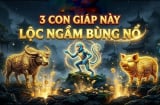 Thứ 7, Chủ Nhật (25/4 - 26/4): 3 con giáp gặp thời phất mạnh, thu nhập tăng gấp đôi