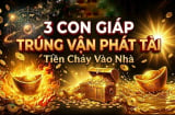 3 con giáp Trời Ban phúc lớn, hạn qua - Tiền về