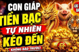 4 con giáp giàu nứt đố đổ vách, thu Lộc tứ phương từ 24/5 đến 1/6