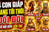 4 con giáp tới thời Đổi Đời Liên Tục, 2 năm tới tiền về khó cản