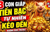 Gà gáy thay canh 60 ngày tới, 3 con giáp tự nhiên Tiền kéo về