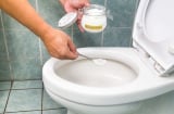 Cách khử mùi bồn cầu chỉ với 1 nguyên liệu nhà nào cũng có trong bếp