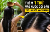 Thêm 1 thứ vào nước gội đầu, tóc lâu bết, mọc nhanh