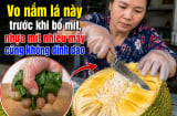 Vo nắm lá này trước khi bổ mít, nhựa mít nhiều mấy cũng không dính dao
