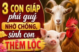 3 con giáp phú quý nhờ chồng, sinh con thêm Lộc