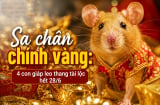 Sa chân chĩnh Vàng, 4 con giáp leo thang tài lộc hết 28/6
