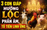 3 con giáp hưởng Lộc phần Âm, Tổ tiên linh ứng