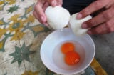 Ăn trứng 2 lòng đỏ có bổ hơn trứng thường không?