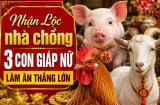 Nhận Lộc nhà chồng 3 con giáp nữ làm ăn thắng lớn