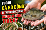 Vì sao cá rô đồng ít thịt nhiều xương nhưng ai cũng thích?