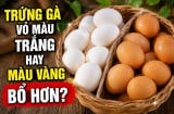 Trứng gà vỏ màu trắng hay màu vàng bổ hơn?