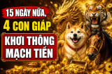 15 ngày nữa, 4 con giáp Khơi Thông Mạch Tiền