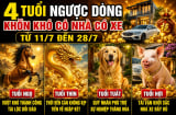 4 tuổi ngược dòng khốn khó có nhà có xe từ 11/7 đến 28/7