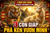 5 ngày đầu tháng từ mùng 1 đến mùng 5/6 Âm: 3 con giáp Phá Kén vươn mình