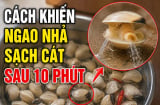 Cách khiến ngao nhả sạch cát sau 10 phút
