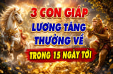 3 con giáp Lương tăng - thưởng về trong 15 ngày tới
