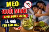 Mẹo đuổi muỗi chưa đến 5 nghìn, cả nhà yên tâm ngủ