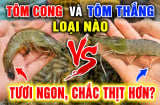 Tôm cong và tôm thẳng loại nào tươi ngon, chắc thịt hơn?