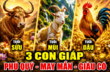3 tuổi có Tài có Đức dễ thăng chức tăng lương sau tuổi 30