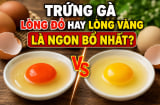 Trứng gà lòng đỏ hay lòng vàng là ngon bổ nhất?