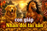 100 ngày tới mùa gặt Lộc Vàng: 4 tuổi nhân đôi tài sản