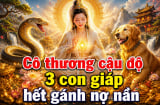 Cô thương Cậu Độ, 3 con giáp hết gánh nợ nần, Tiền về ồ ạt