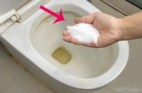 Đổ muối vào bồn cầu có tác dụng gì?