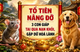 Tổ Tiên Nâng Đỡ, 3 con giáp tai qua nạn khỏi, gặp dữ hoá lành