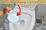 Nhà tắm cứ để 1 thứ: Hết hôi, không sợ vi khuẩn