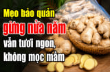 Mẹo bảo quản gừng nửa năm vẫn tươi ngon, không mọc mầm