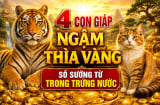 4 con giáp Ngậm Thìa Vàng, số sướng từ trong trứng nước