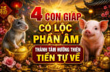 4 con giáp có Lộc phần Âm, thành tâm hướng thiện Tiền tự về