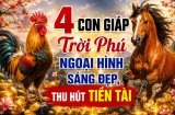 4 con giáp Trời Phú ngoại hình sáng đẹp, thu hút Tiền tài