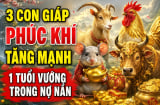 3 con giáp Phúc Khí tăng mạnh, 1 tuổi vướng trong nợ nần