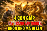 4 con giáp tay trắng lập nghiệp, khốn khó mà đi lên