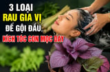 3 loại rau gia vị để gội đầu, kích tóc con mọc dày