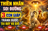 Thiên Nhãn soi đường, 3 con giáp tránh được tai bay vạ gió
