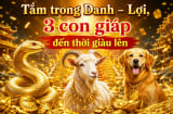 Tắm trong Danh - Lợi, 3 con giáp đến thời giàu lên