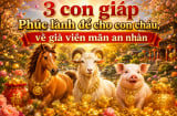 3 con giáp Phúc lành để cho con cháu, về già viên mãn an nhàn