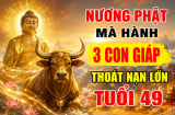 Nương Phật mà hành, 3 con giáp thoát nạn lớn tuổi 49
