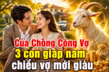 Của Chồng Công Vợ, 3 con giáp nam chiều vợ mới giàu